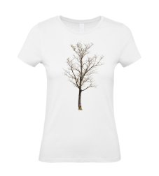 Dámske tričko starý strom