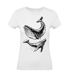 Dámske tričko veľryba skica