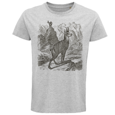 Pánske Bio tričko Kamzíky na horách