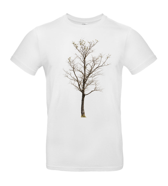 Pánske tričko starý strom