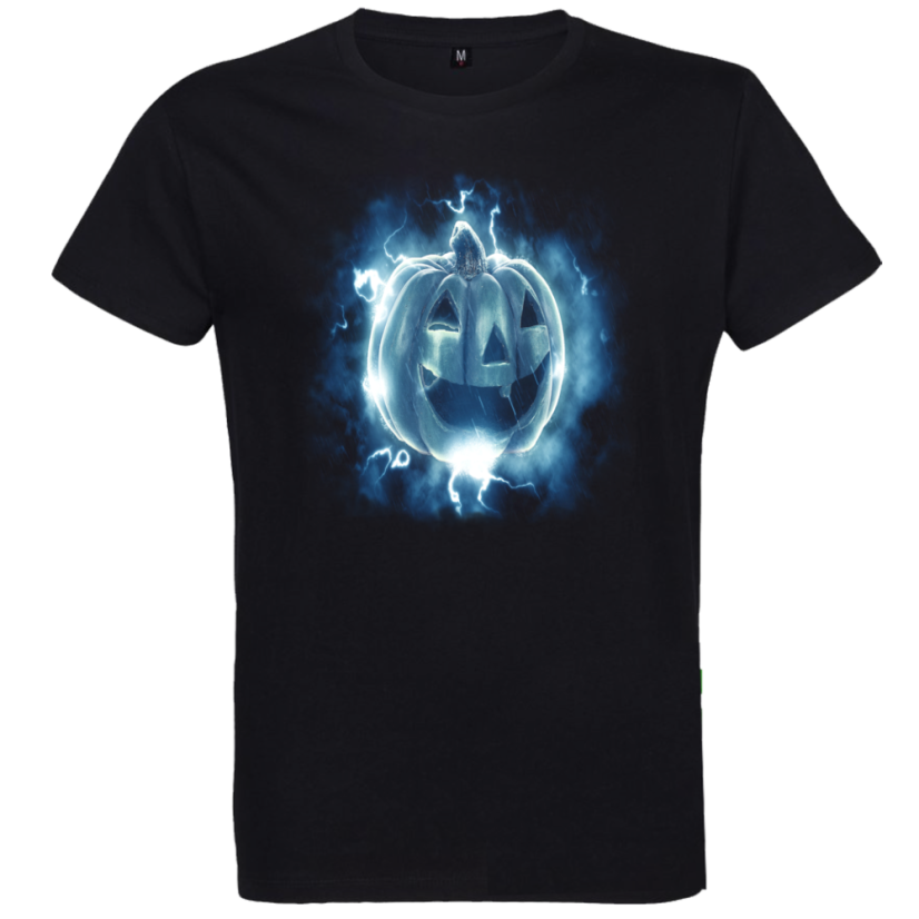 Pánské tričko Modrá dýně